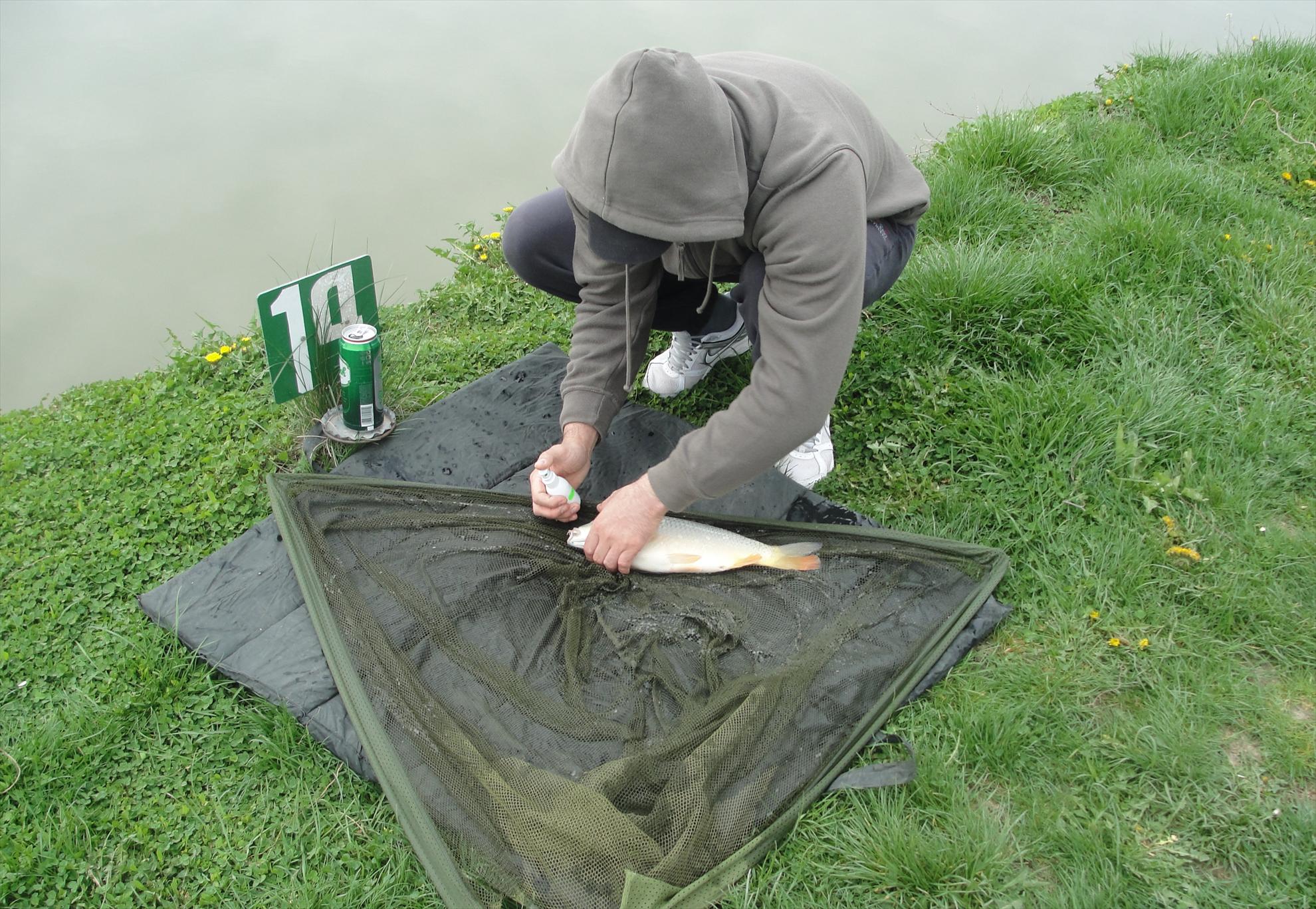 Floarea Popestiului 20 - 20 apr. - dsc09577.JPG